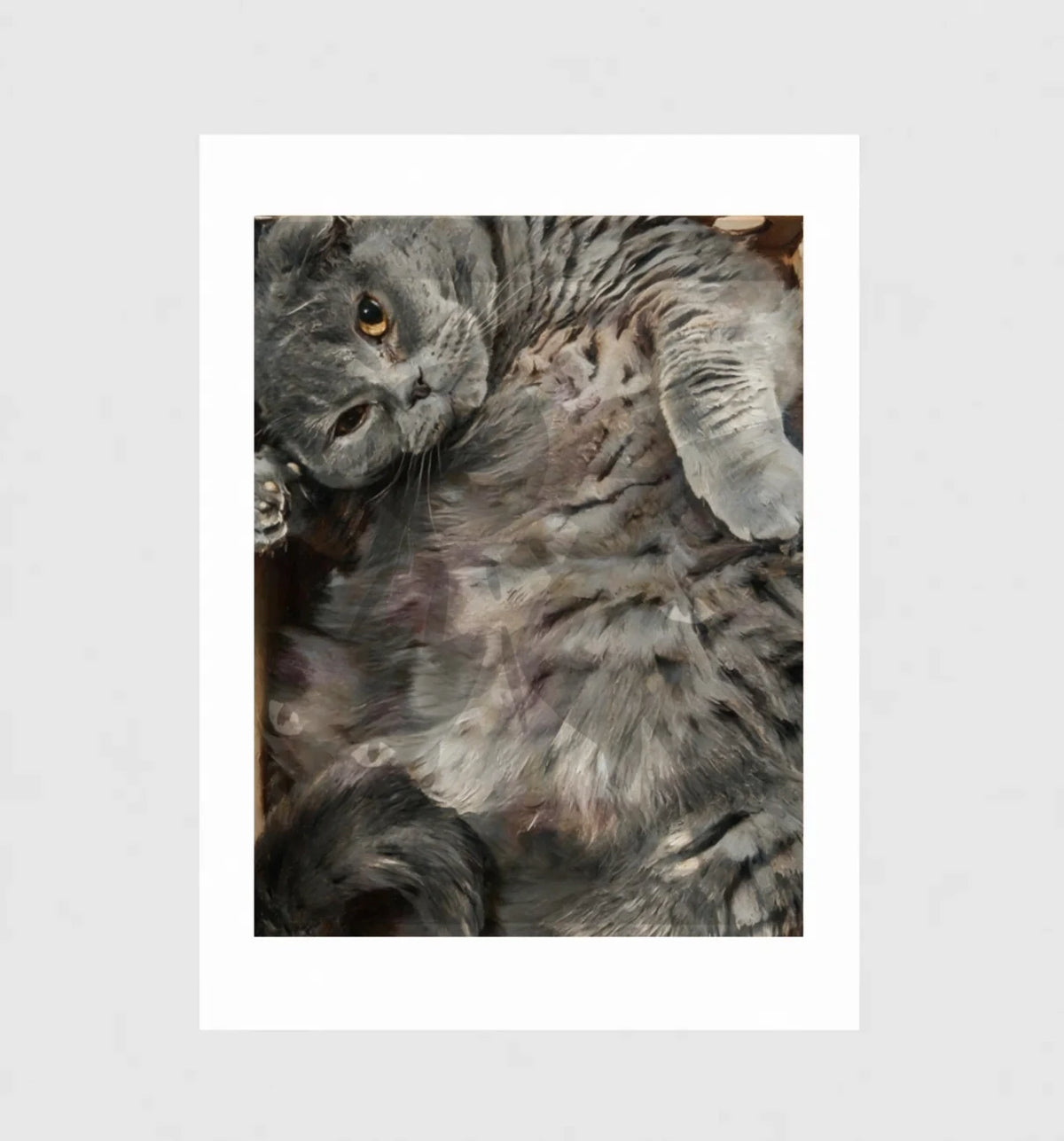Boneless by Muse and Paw, a painterly print of a grey cat lying flat on its back, shown flat as a bordered fine art print.